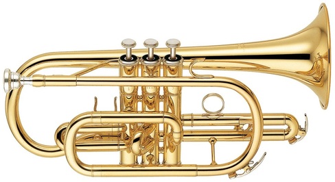 Brass - Instruments in the Orchestra