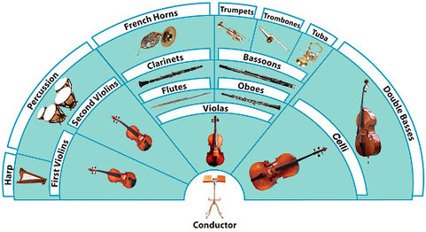 Layout of the Orchestra - Instruments in the Orchestra